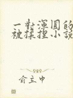 一对浑圆的胸乳被揉捏小说