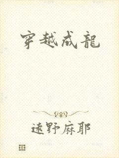 穿越成龙