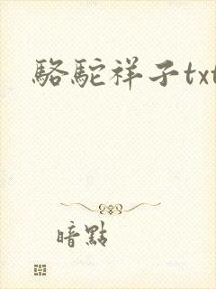 骆驼祥子txt封面