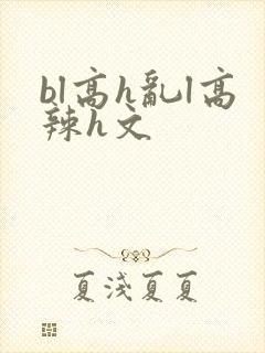 bl高h乱l高辣h文