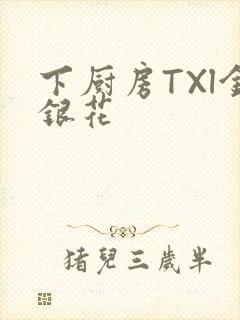 下厨房TXl金银花