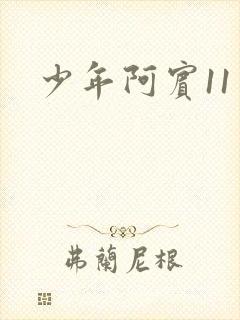 少年阿宾11
