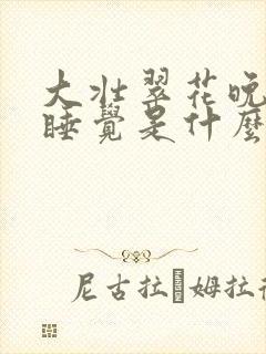 大壮翠花晚上不睡觉是什么电视剧