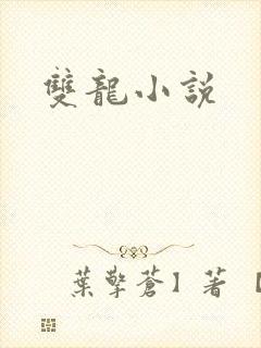 双龙小说