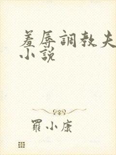 羞辱调教夫妻奴小说