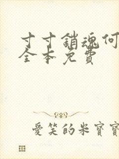 寸寸销魂何生祥全本免费