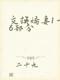 交换娇妻1一36部分
