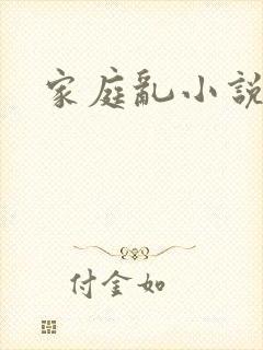 家庭乱小说封面