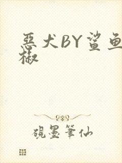 恶犬BY鲨鱼辣椒