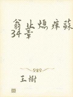 翁止熄痒苏钥第34章