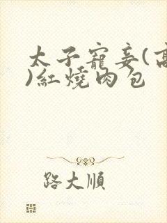 太子宠妾(高肉)红烧肉包