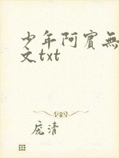 少年阿宾无删全文txt