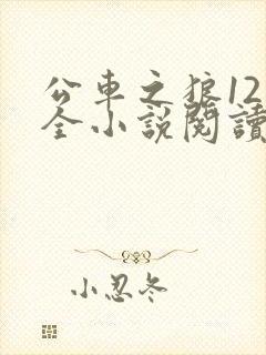 公车之狼12集全小说阅读封面