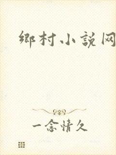 乡村小说网封面