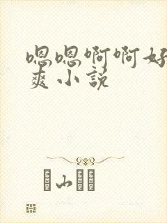 嗯嗯啊啊好大好爽小说