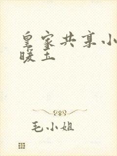 皇家共享小公主暖玉