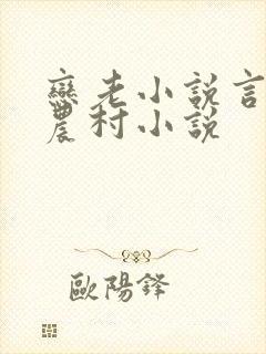 恋老小说言情网农村小说封面