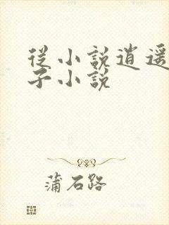 从小说逍遥四公子小说