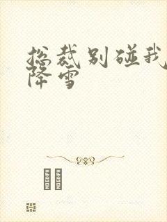 总裁别碰我 韩降雪