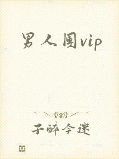 男人团vip