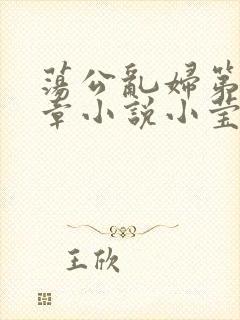 荡公乱妇第51章小说小莹封面