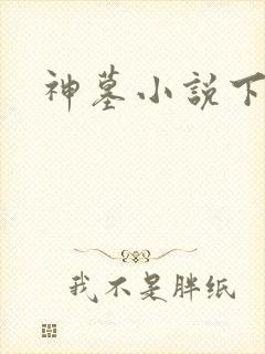 神墓小说下载
