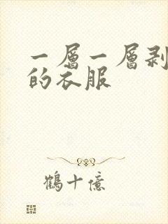 一层一层剥开我的衣服