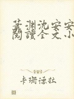 萧渊沈安安免费阅读全文小说封面