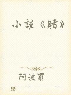 小说《赌》封面