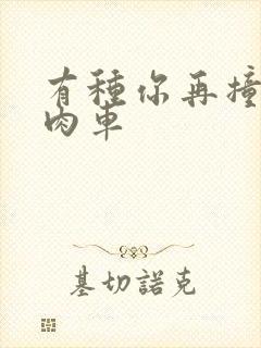 有种你再撞一下肉车封面