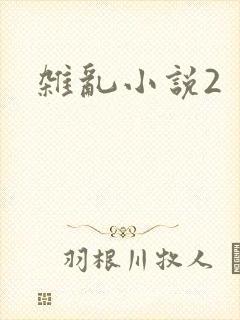 杂乱小说2