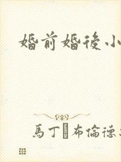 婚前婚后小说封面