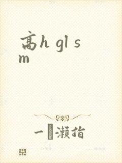 高h gl sm