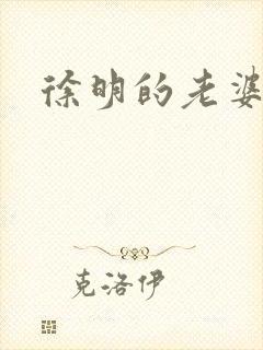 徐明的老婆封面