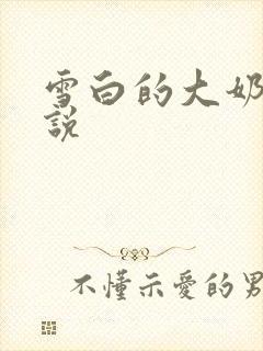 雪白的大奶子小说封面