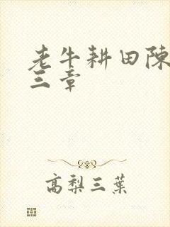 老牛耕田陈雪第三章
