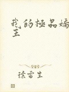 我的极品娇妻女主