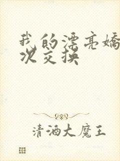 我的漂亮娇妻初次交换