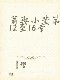 翁与小莹第十部12至16章