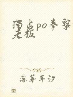 独占po拳击馆老板