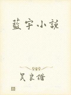 蓝宇小说