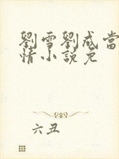 刘雪刘成当代爱情小说免