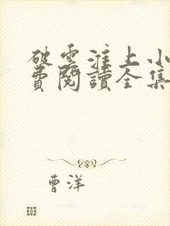 破云淮上小说免费阅读全集