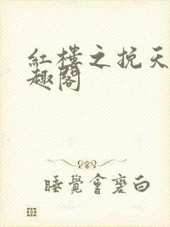 红楼之挽天倾笔趣阁