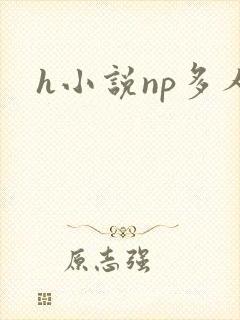 h小说np多人