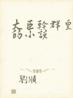 大臣干群皇太后的小说封面