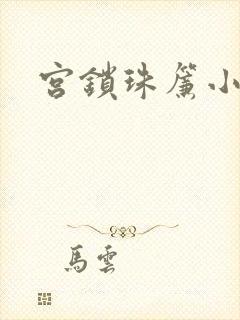 宫锁珠帘小说封面