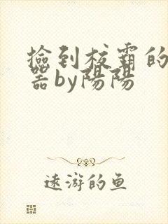 捡到校霸的遥控器by阳阳封面