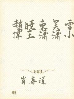 赵晓东吴雪晴郑伟王潇潇小说名字封面