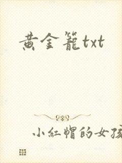 黄金笼txt